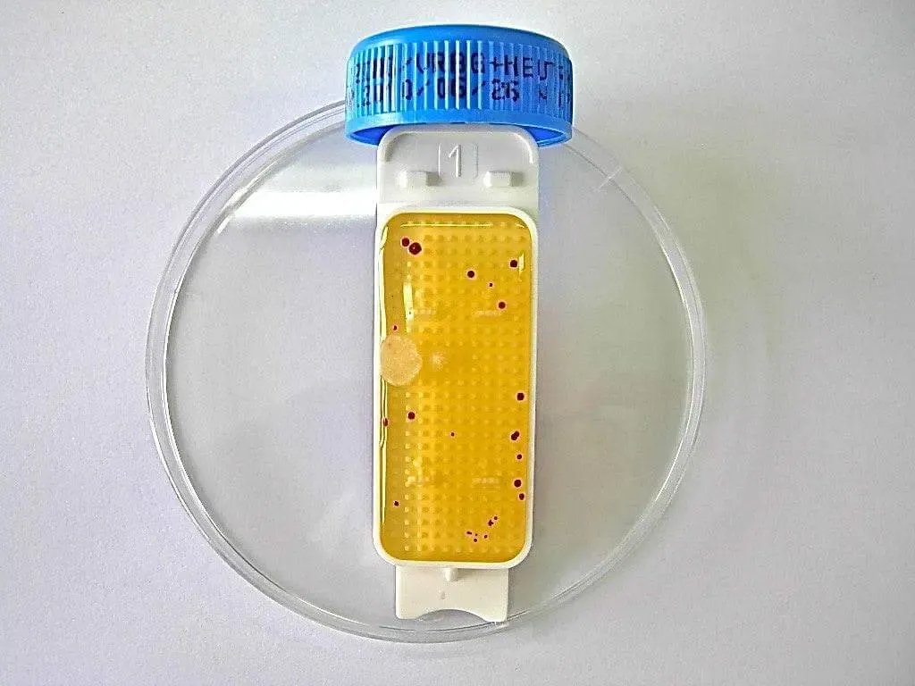 Liofilchem Contact Slide 1 53526