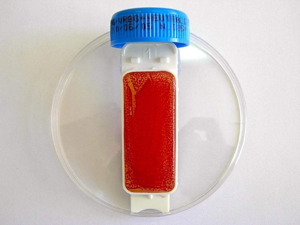 Liofilchem Contact Slide 1 53526