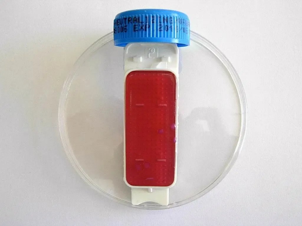 Liofilchem Contact Slide 1 53526