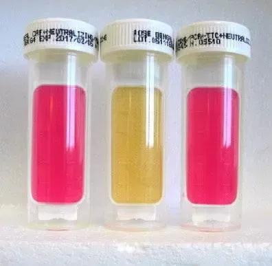 Liofilchem Contact Slide 2 53527