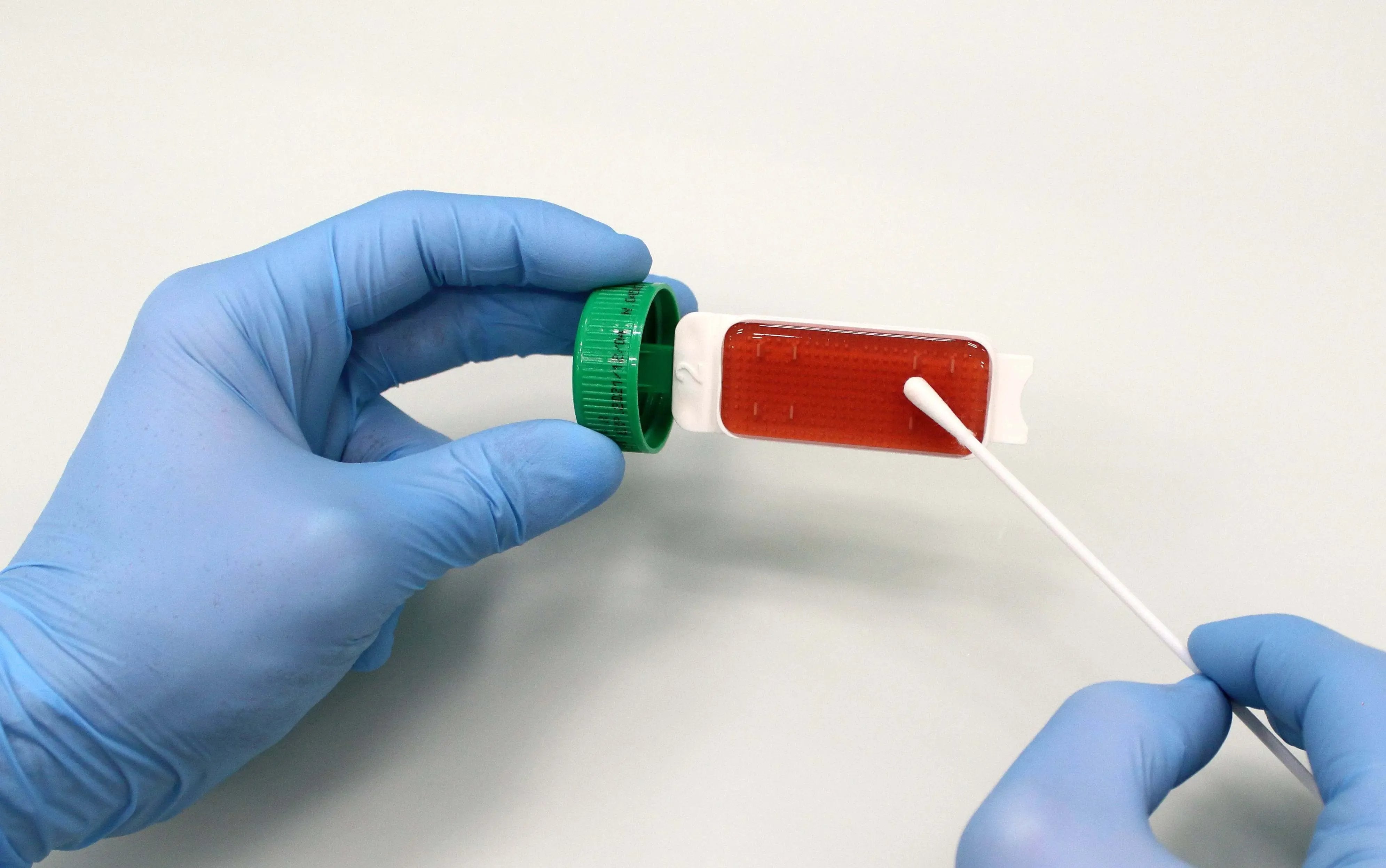 Liofilchem Contact Slide 5 53531