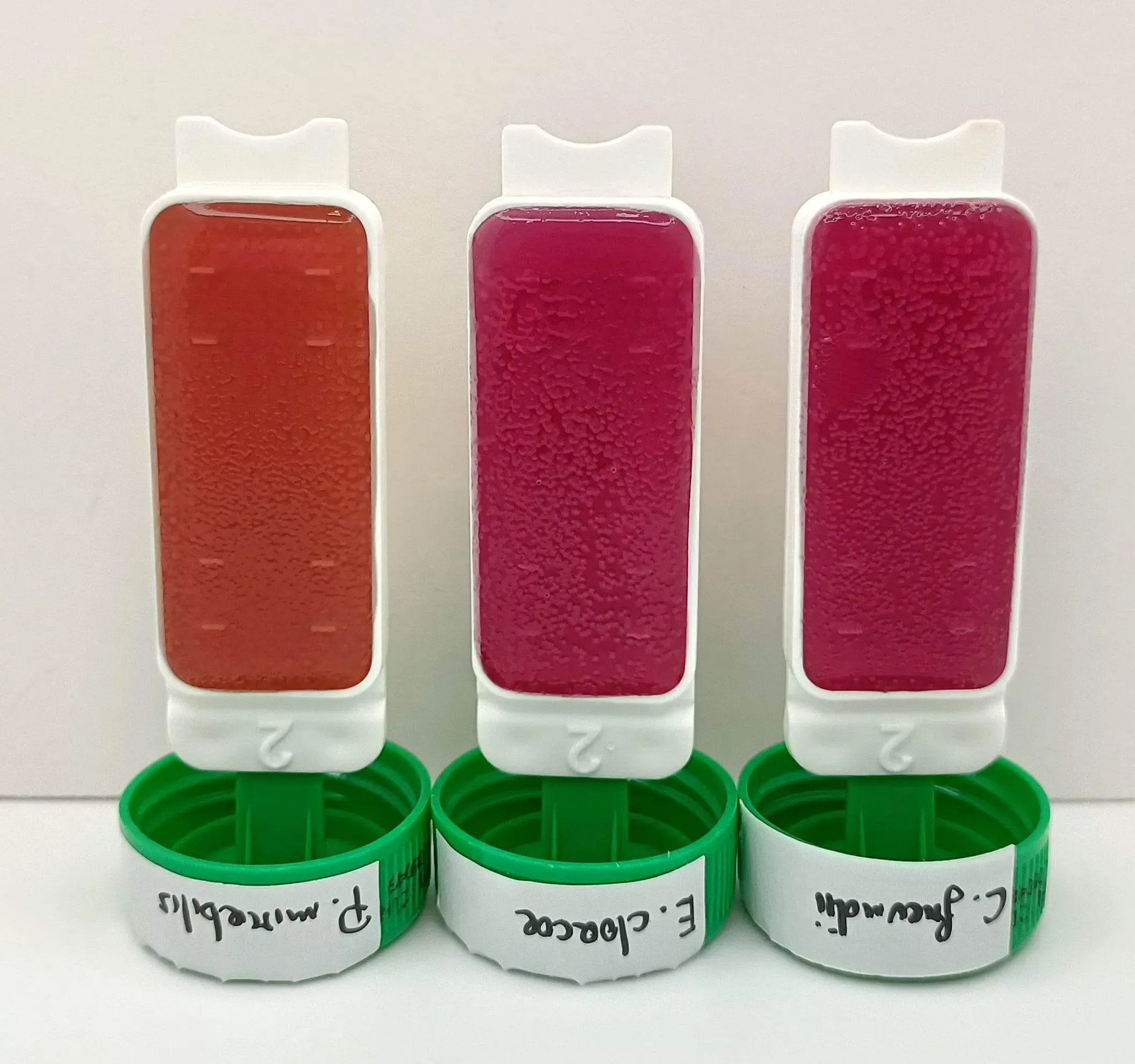 Liofilchem Contact Slide 8 53562