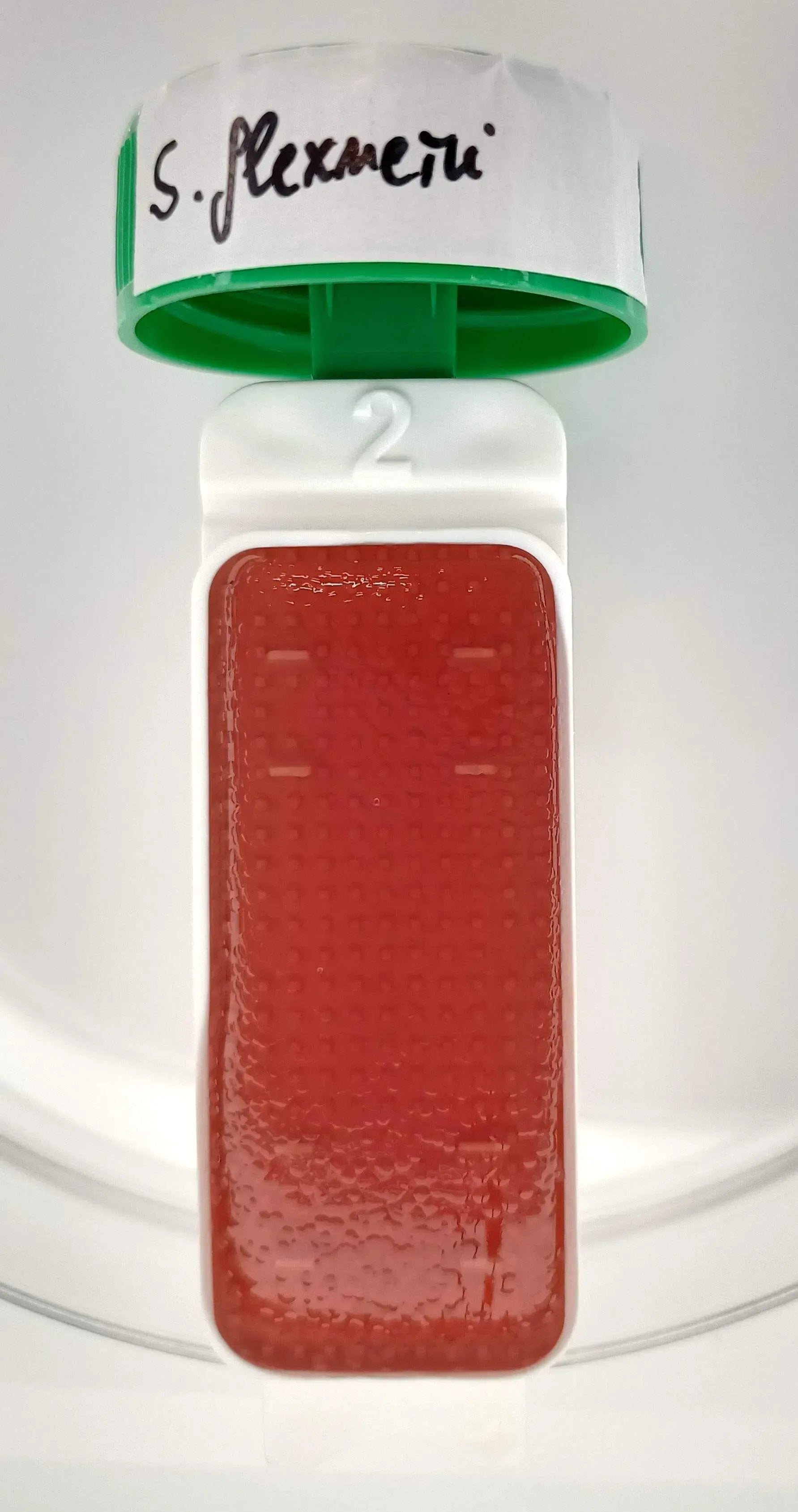 Liofilchem Contact Slide 8 53562
