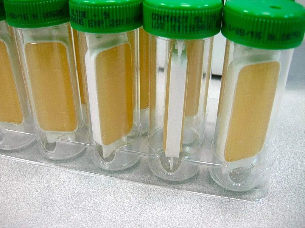 Liofilchem Contact Slide 9 (PCA+TTC+Neutralizing x 2) 53532