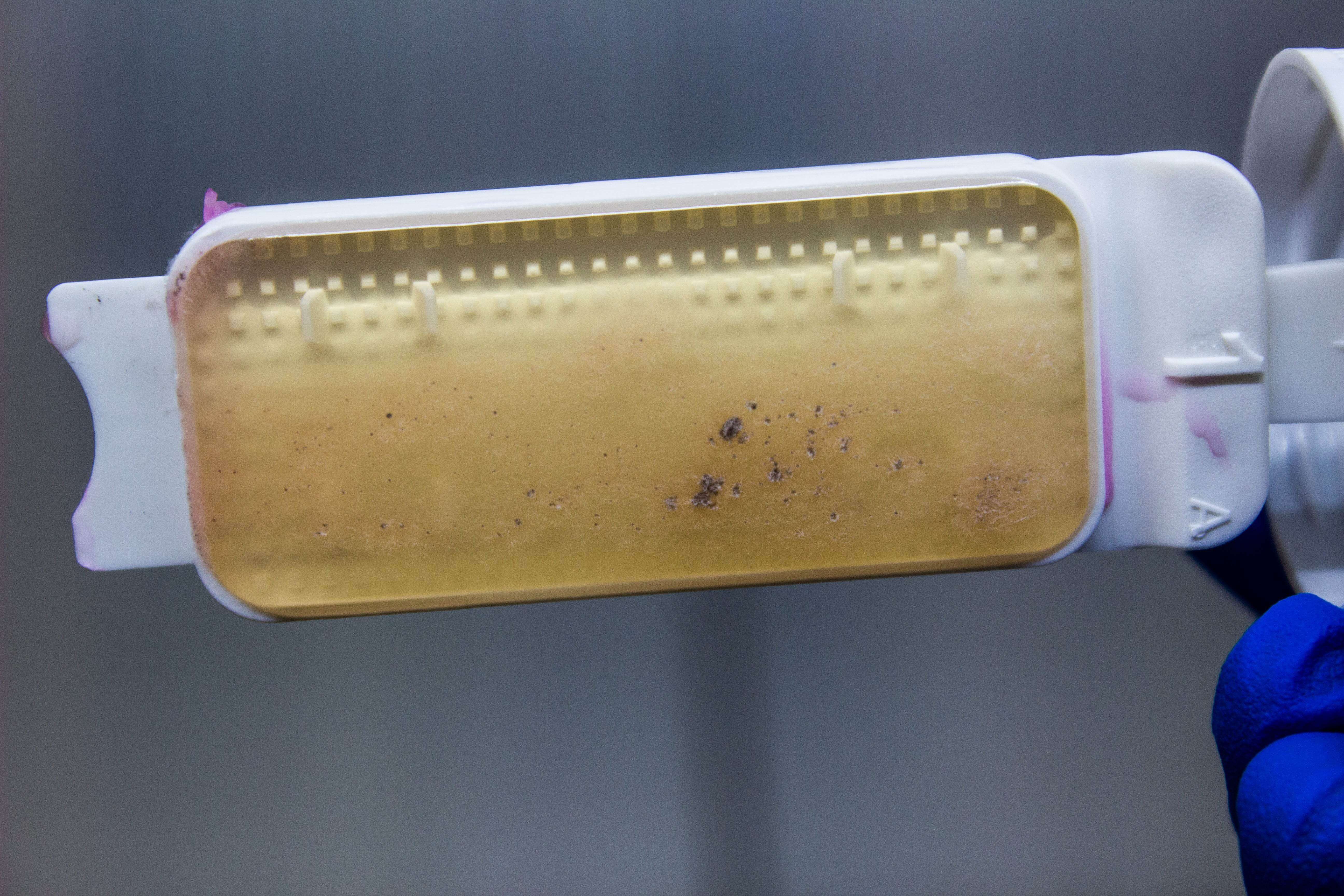 Liofilchem Contact Slide TSA + NEUTR./ ROSE Bengal 53548
