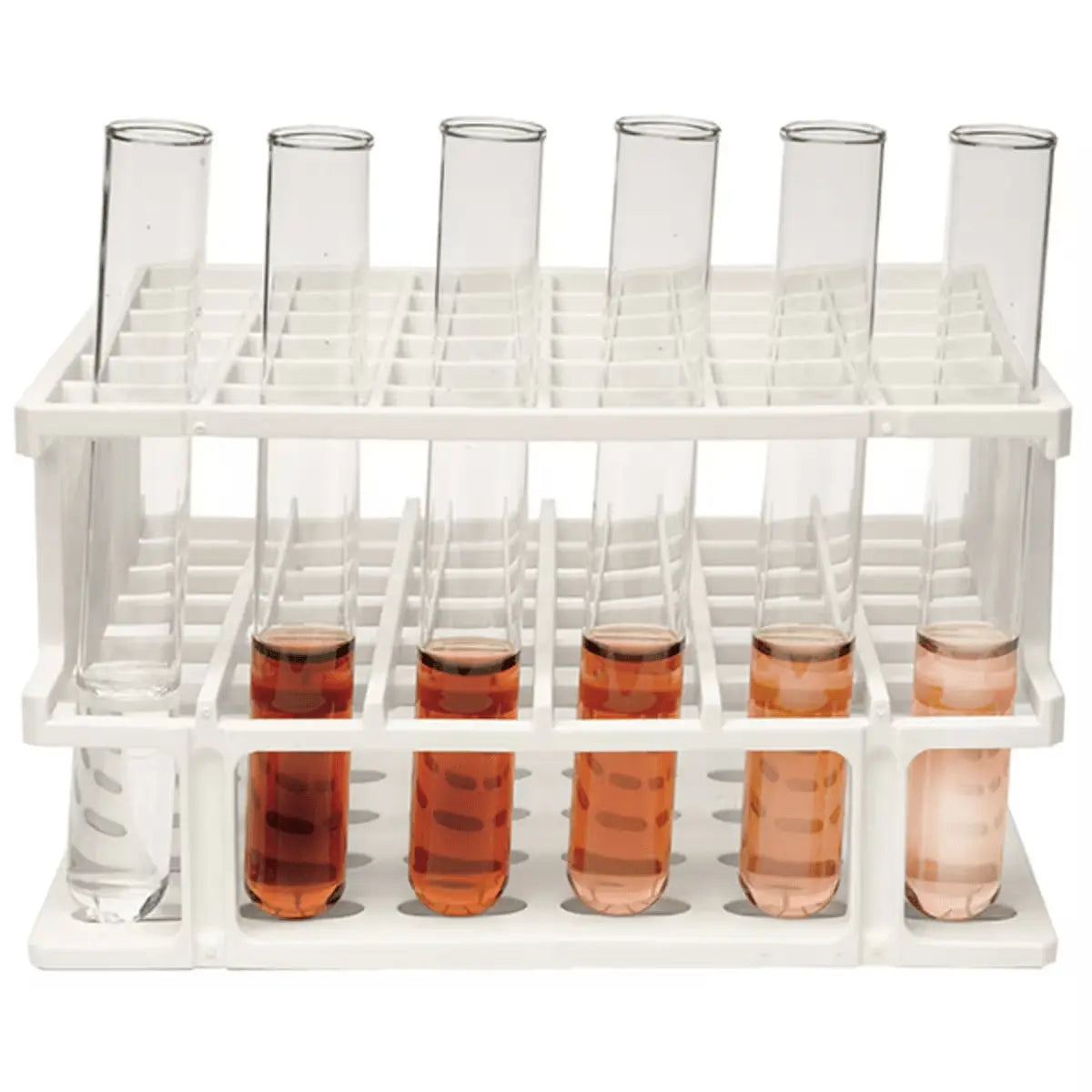 EDVOTEK Biotech Education UNIT Enzyme Activity