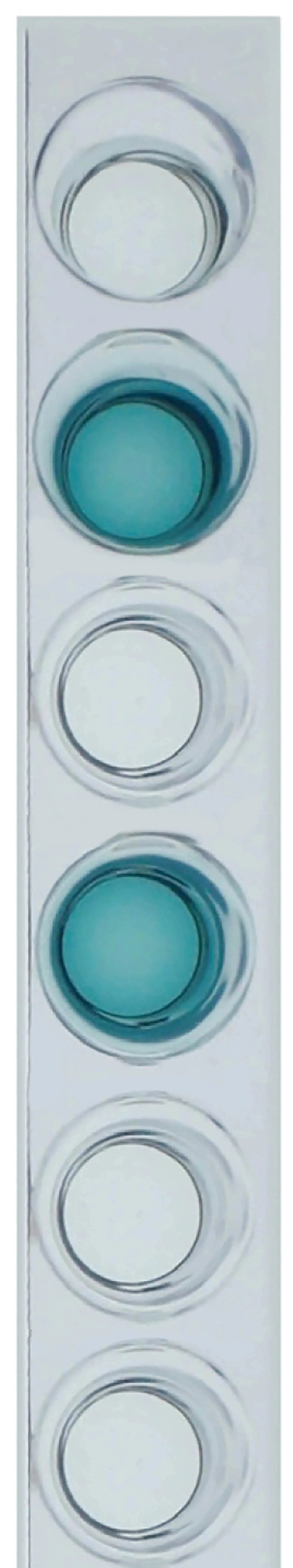EDVOTEK Biotech Education UNIT Expanding Our Testing: Using ELISA to Detect COVID-19