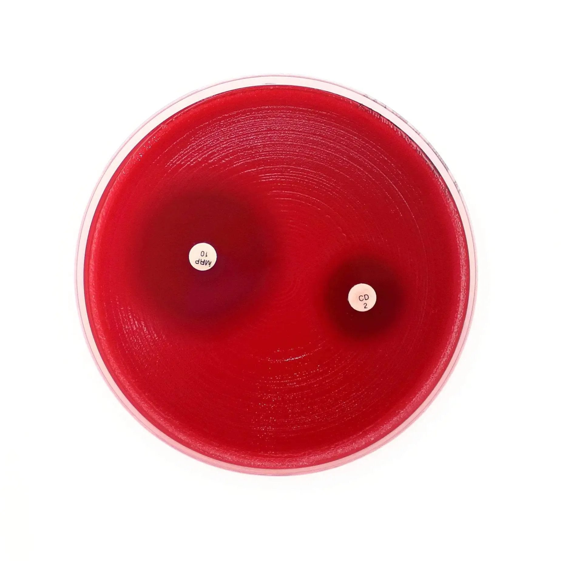 Liofilchem Fastidious Anaerobe Agar Culture Media 10062