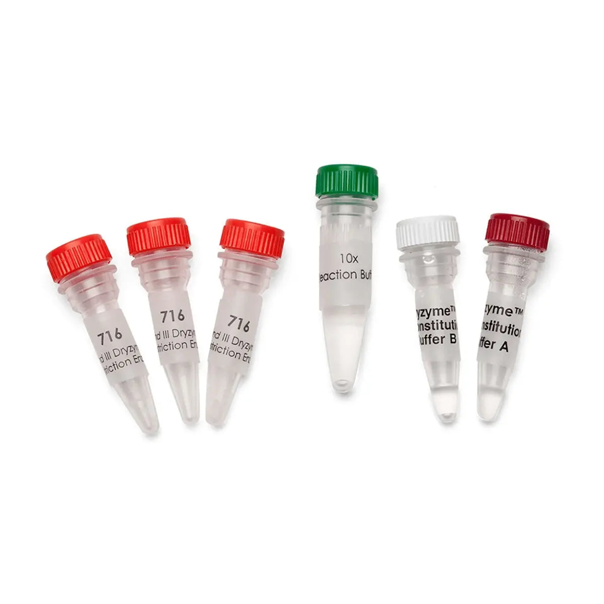 EDVOTEK Biotech Education UNIT Hind III Dryzyme® (1500 units)