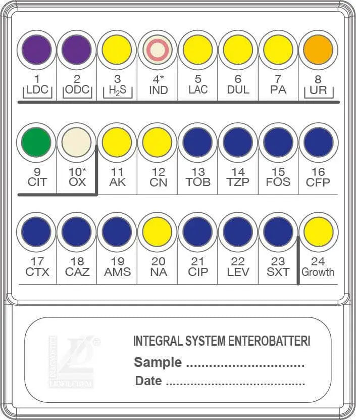 Liofilchem INTEGRAL SYSTEM ENTEROBATTERI 71714