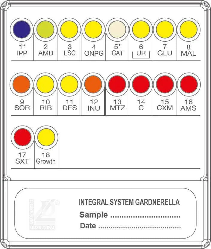 Liofilchem INTEGRAL SYSTEM Gardnerella 71724