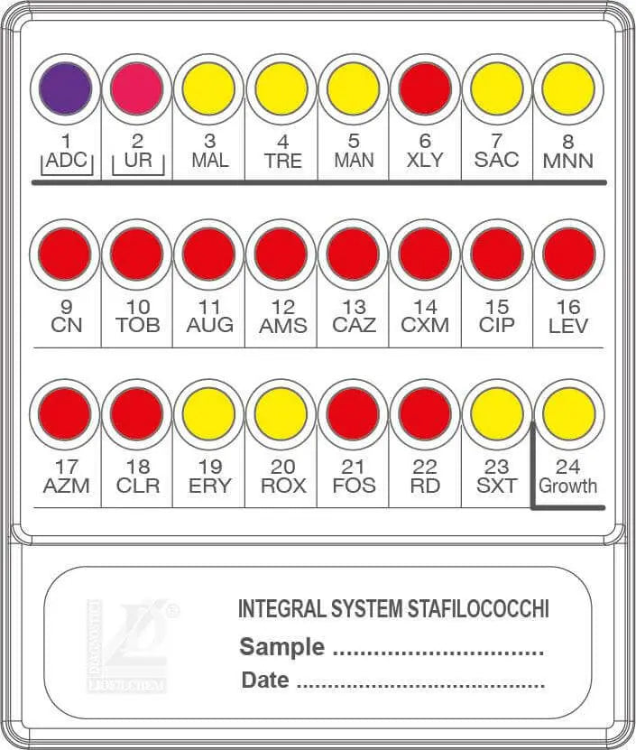 Liofilchem INTEGRAL SYSTEM STAFILOCOCCHI 79718