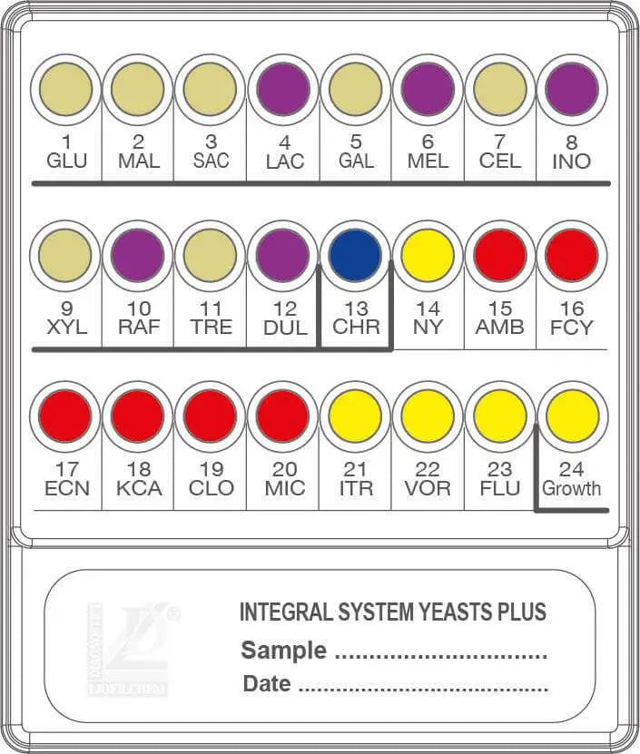 Liofilchem INTEGRAL SYSTEM Yeasts Plus 71822