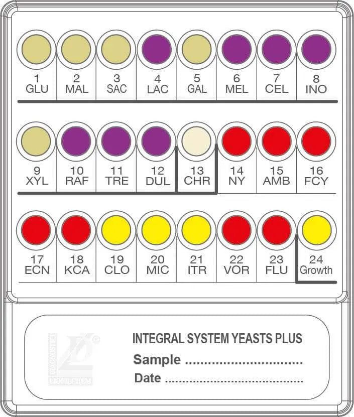 Liofilchem INTEGRAL SYSTEM Yeasts Plus 71822