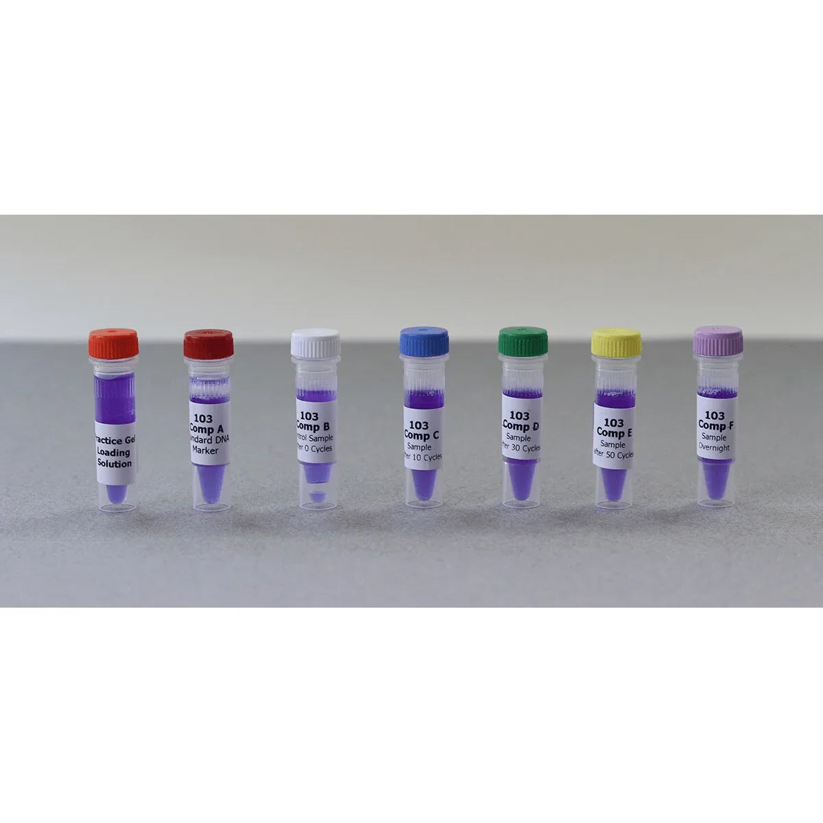 Bulk Replenisher (24 Groups) - Expt. 103 - Kormay Biomedicals store