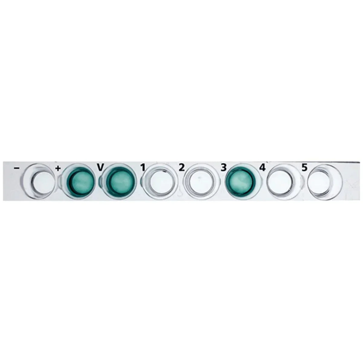 Forensic Toxicology - Kormay Biomedicals store