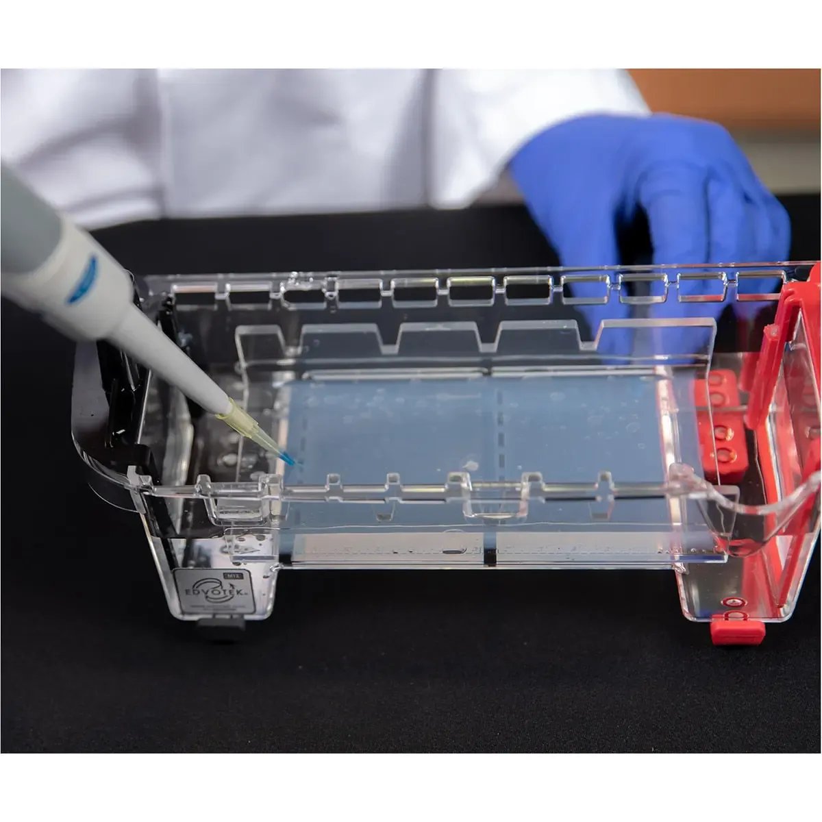 EDVOTEK M12 Complete™ Electrophoresis Package Biotech Education Kit 502504