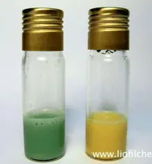 Liofilchem MiRA Test 80355