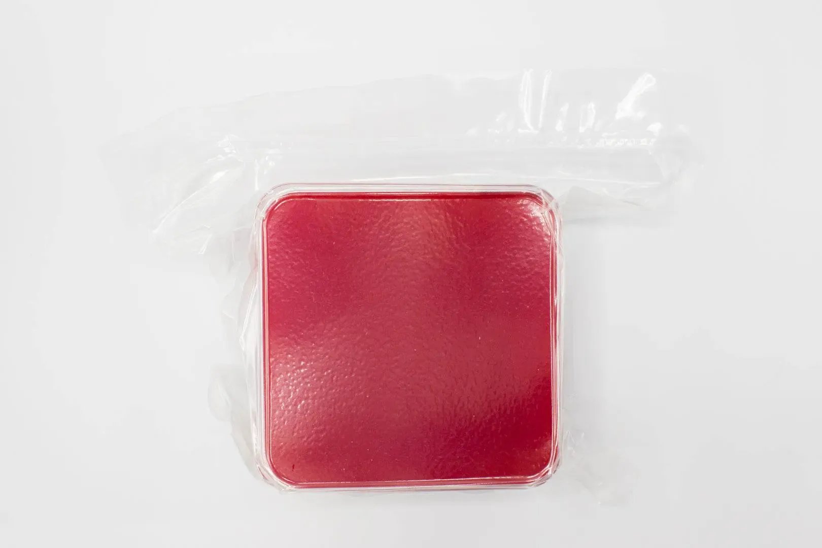 Liofilchem Mueller Hinton II Agar (Sheep Blood 5%) Culture Media 10131