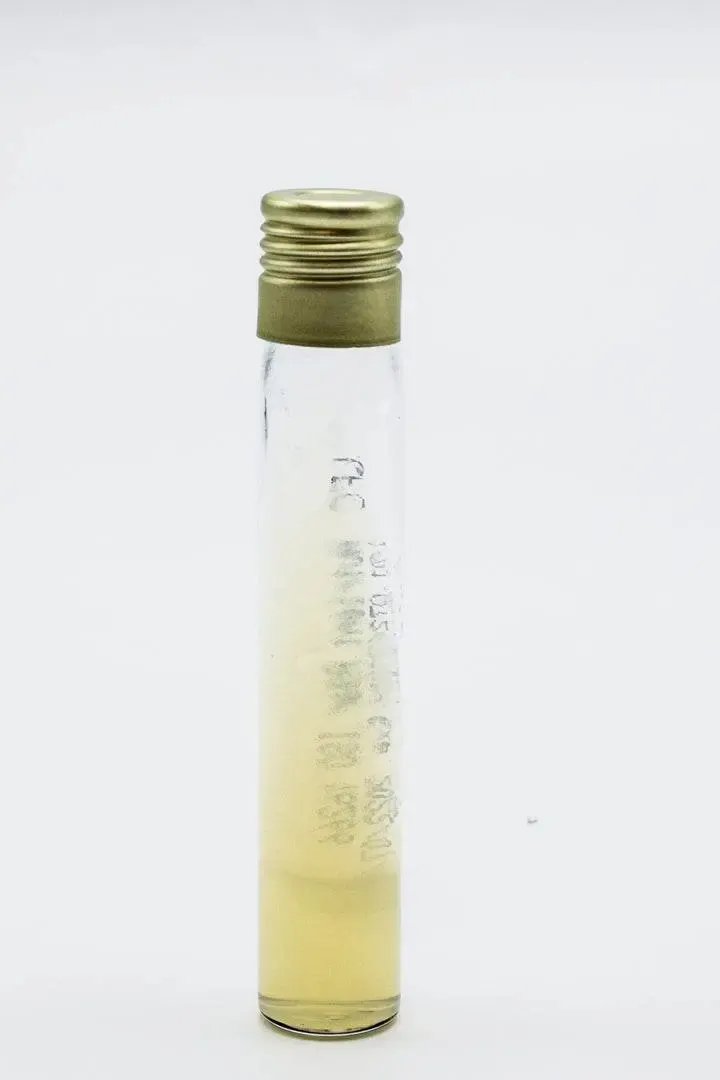 Liofilchem Nutrient Agar ISO 16266 Culture Media 30083