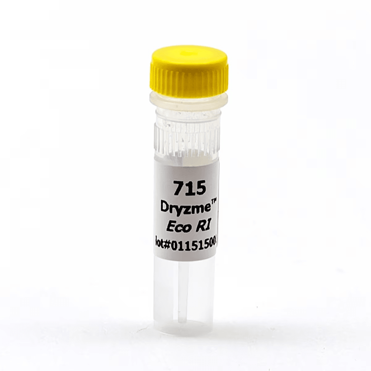 Eco RI Dryzyme® (1500 units) - Kormay Biomedicals store