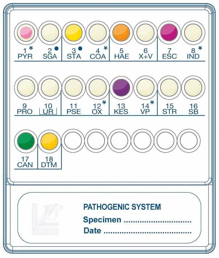 Liofilchem PATHOGENIC SYSTEM 71679