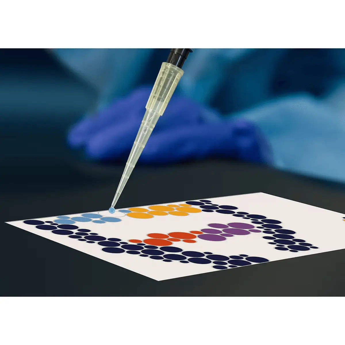 EDVOTEK Biotech Education UNIT Pipette By Numbers