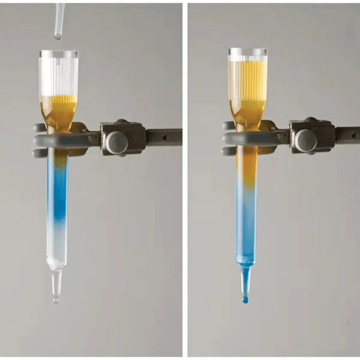 EDVOTEK Biotech Education UNIT Principles of Gel Filtration Chromatography