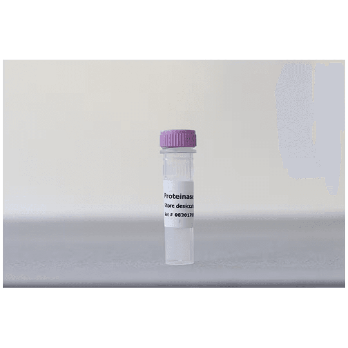 Proteinase K - Kormay Biomedicals store