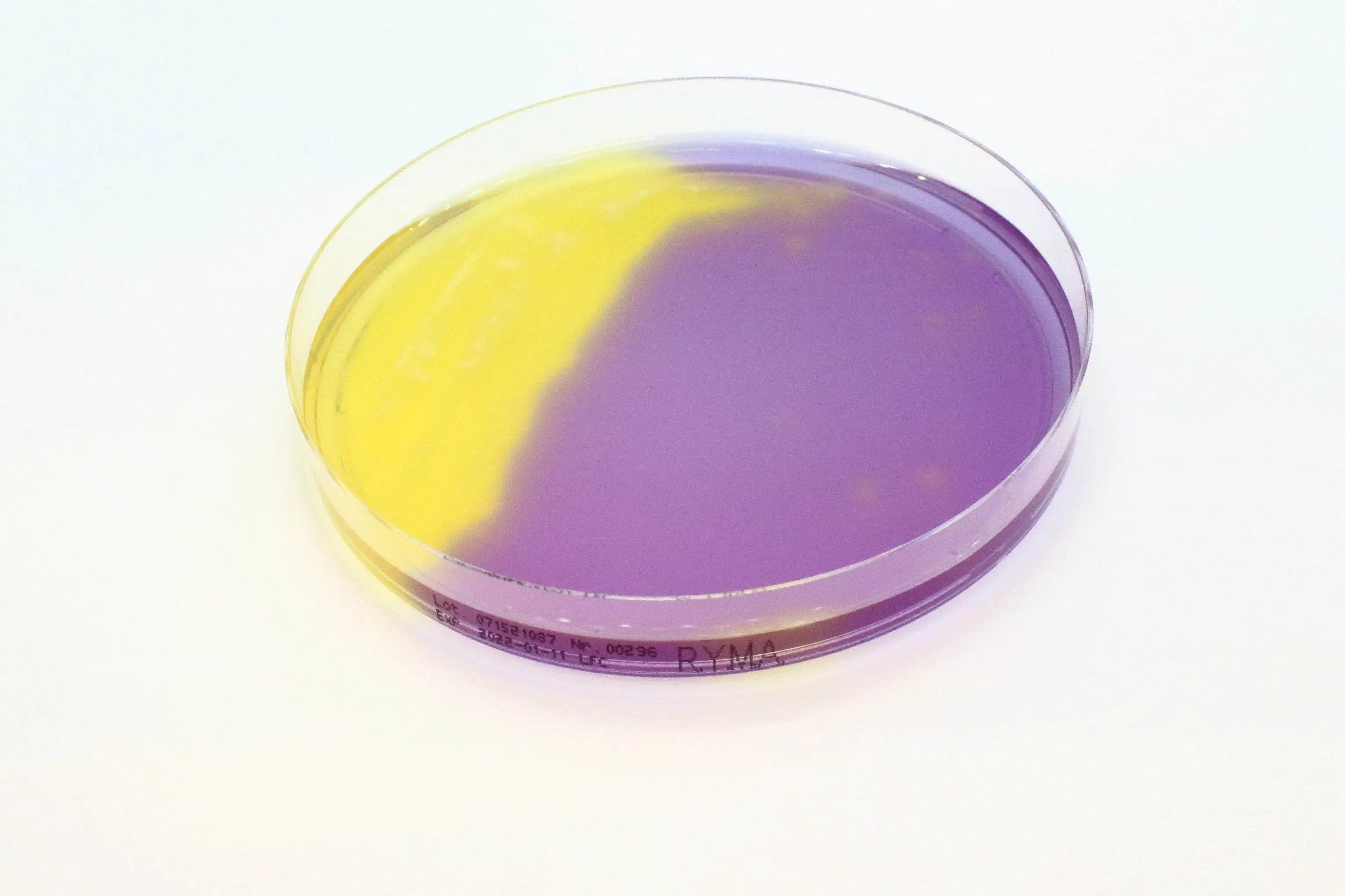 Liofilchem Rapid Y/M Agar Culture Media 10456