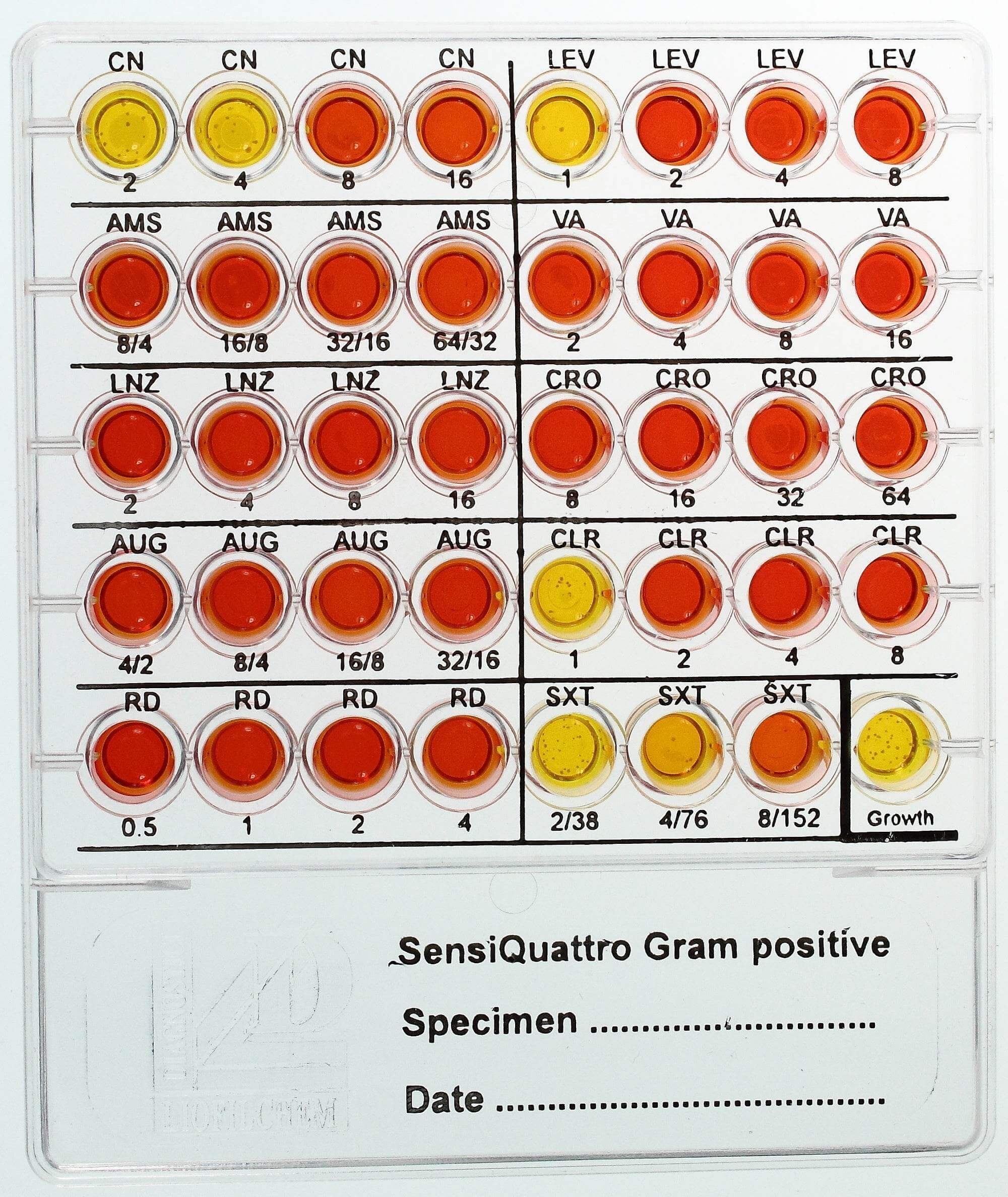 SensiQuattro Gram-positive - Kormay Biomedicals store