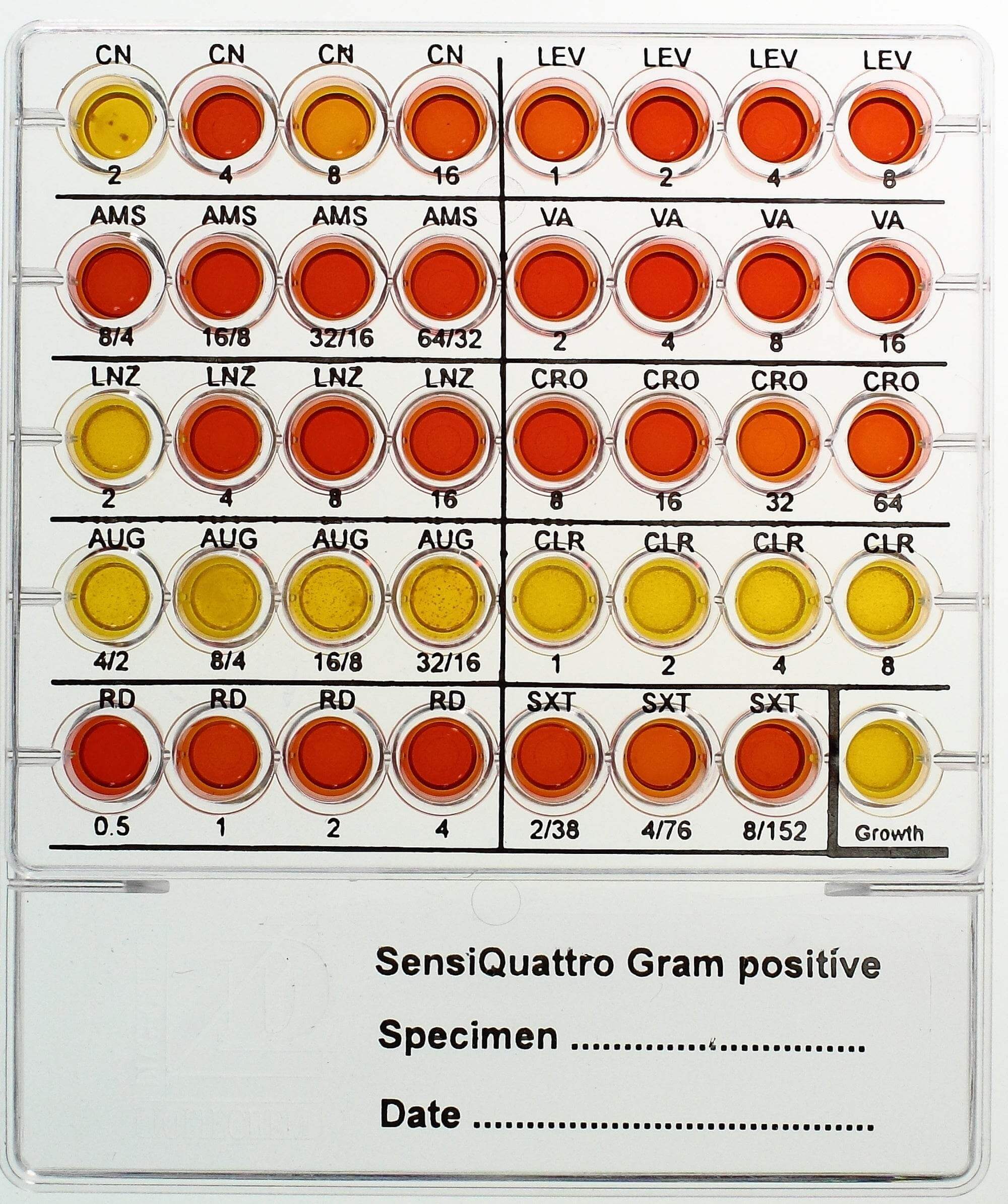 SensiQuattro Gram-positive - Kormay Biomedicals store