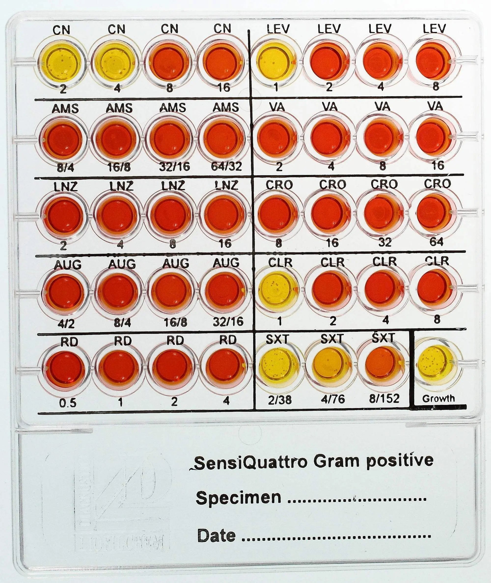 Liofilchem SensiQuattro Gram-positive 76032