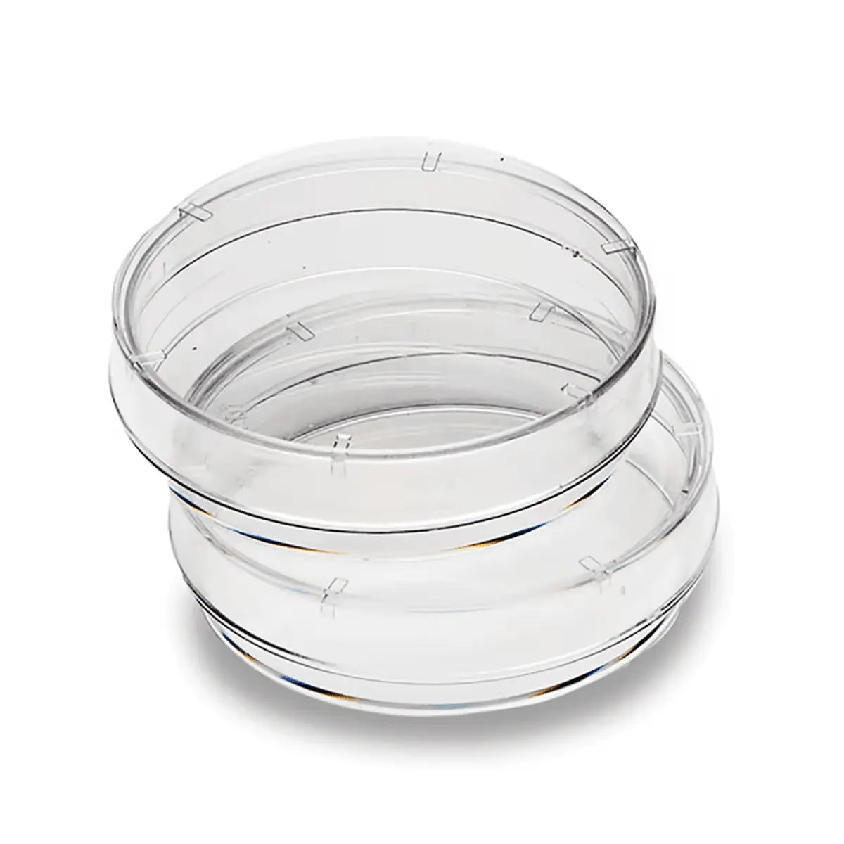 EDVOTEK Biotech Education UNIT Small Petri Plates, 60 x 15 mm (Pack of 20)