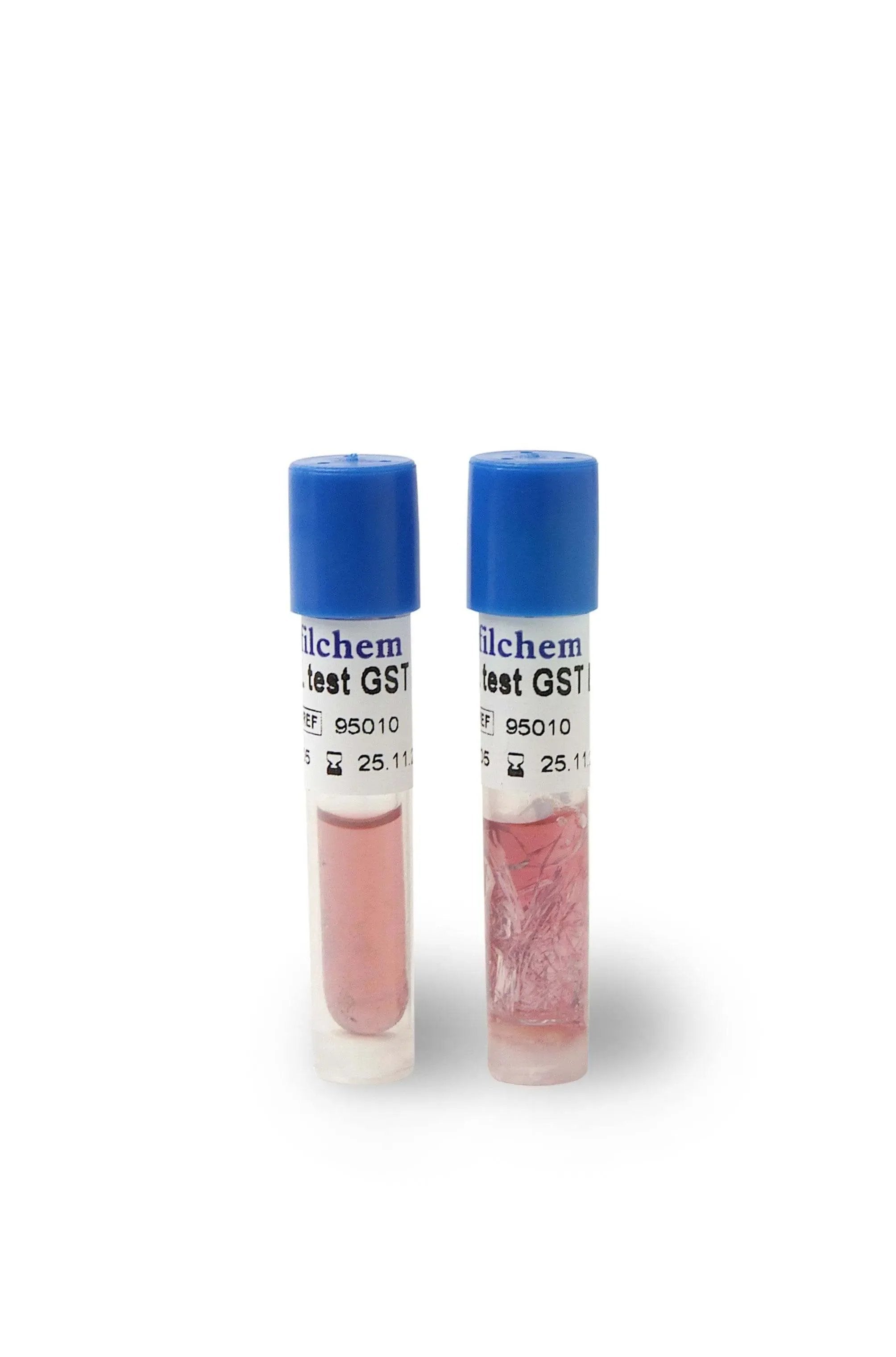 Liofilchem SterilTest GST E6 91100