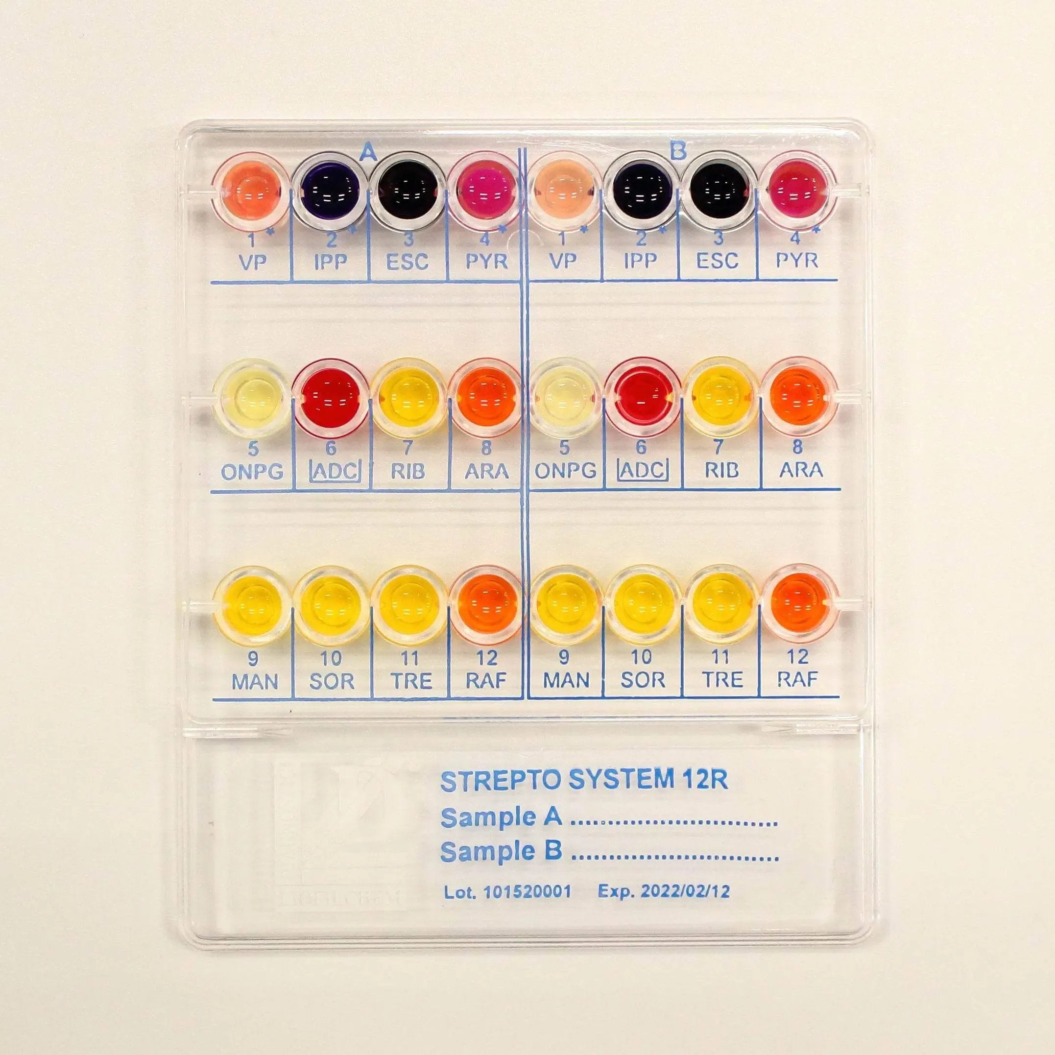 Liofilchem Strepto SYSTEM 12 R 79560