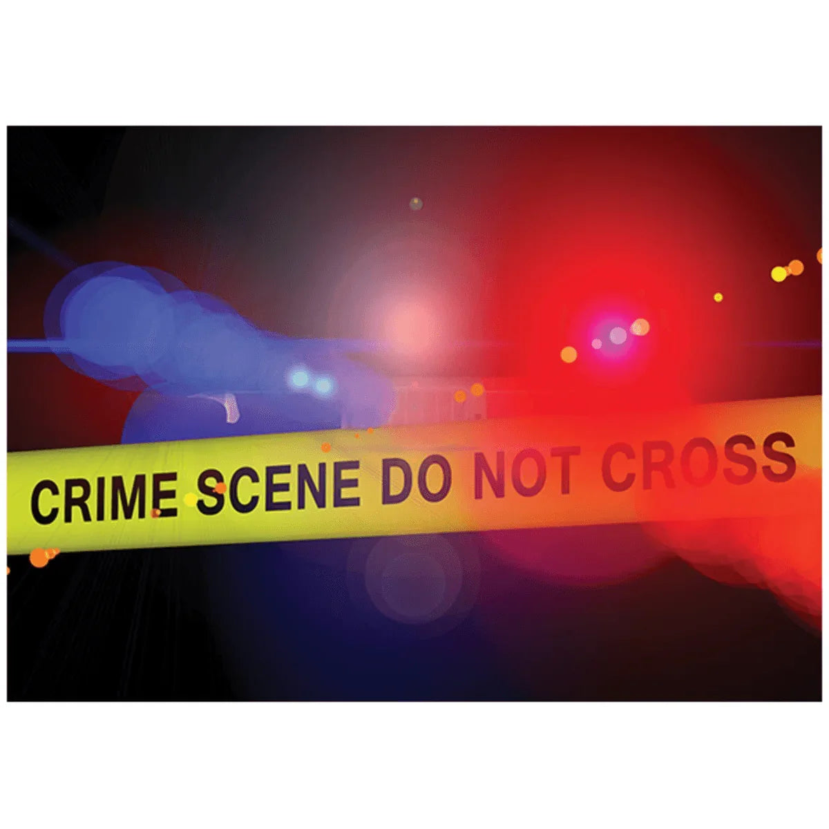 DNA Fingerprinting by PCR Amplification - Kormay Biomedicals store