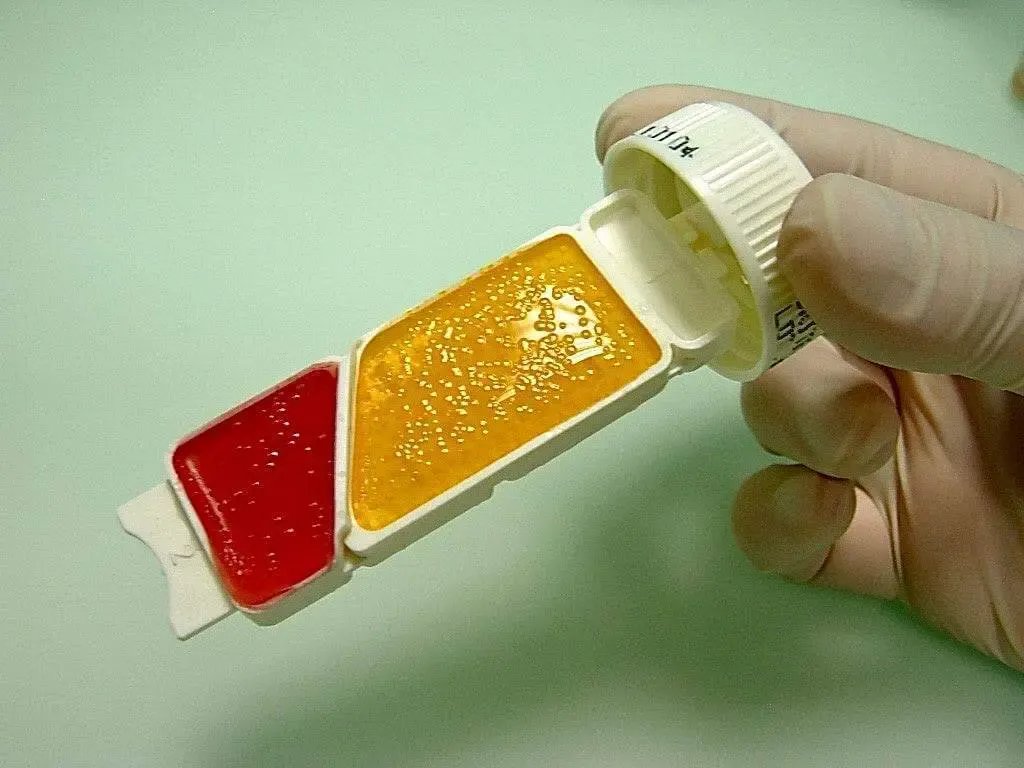 Liofilchem Uritest Penta Biochemical Test Kit 51014