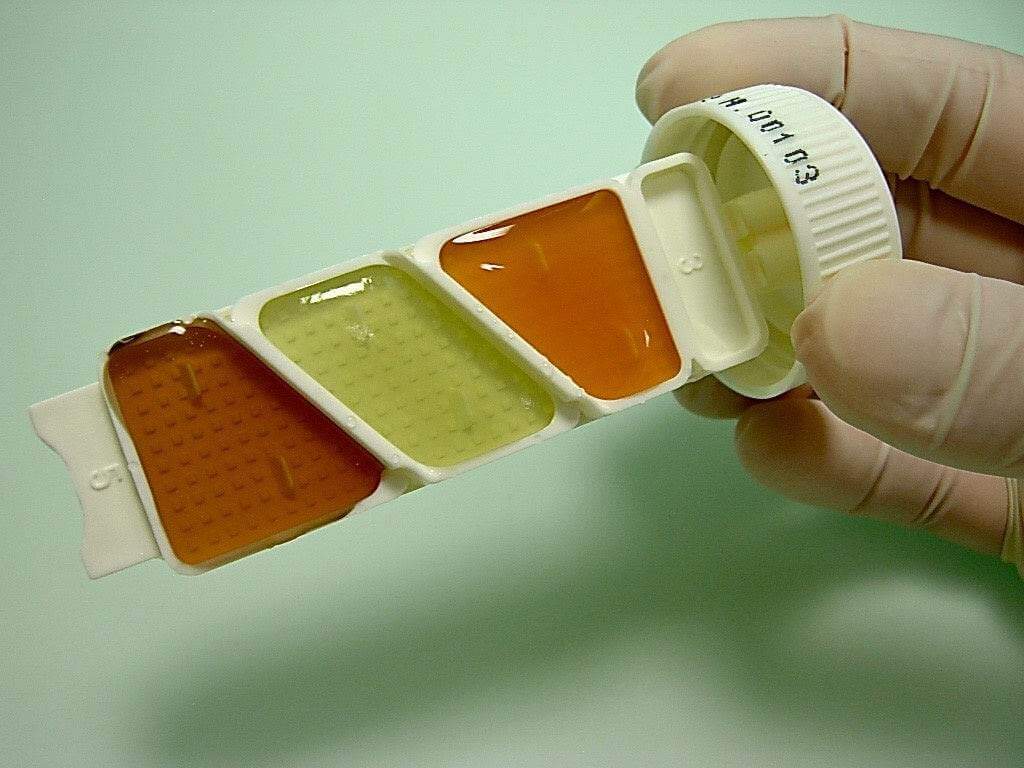 Liofilchem Uritest Penta Biochemical Test Kit 51014