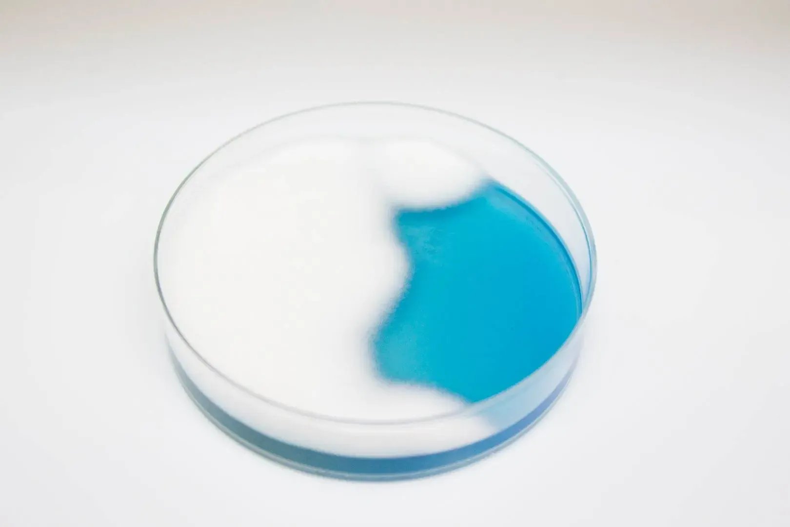 Liofilchem WL NUTRIENT Agar Culture Media 610234