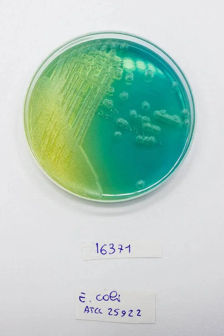 Liofilchem WL NUTRIENT Agar Culture Media 610234