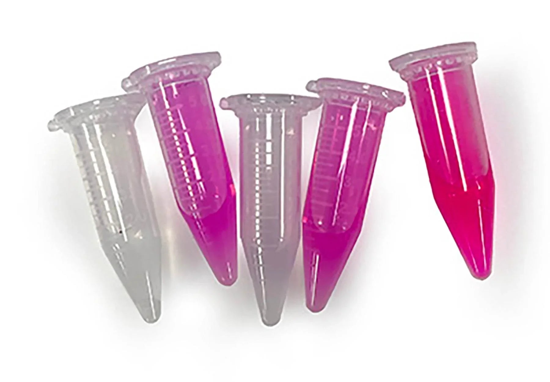 Vax to the Future: Developing a Vaccine for a Novel Pathogen - Kormay Biomedicals store