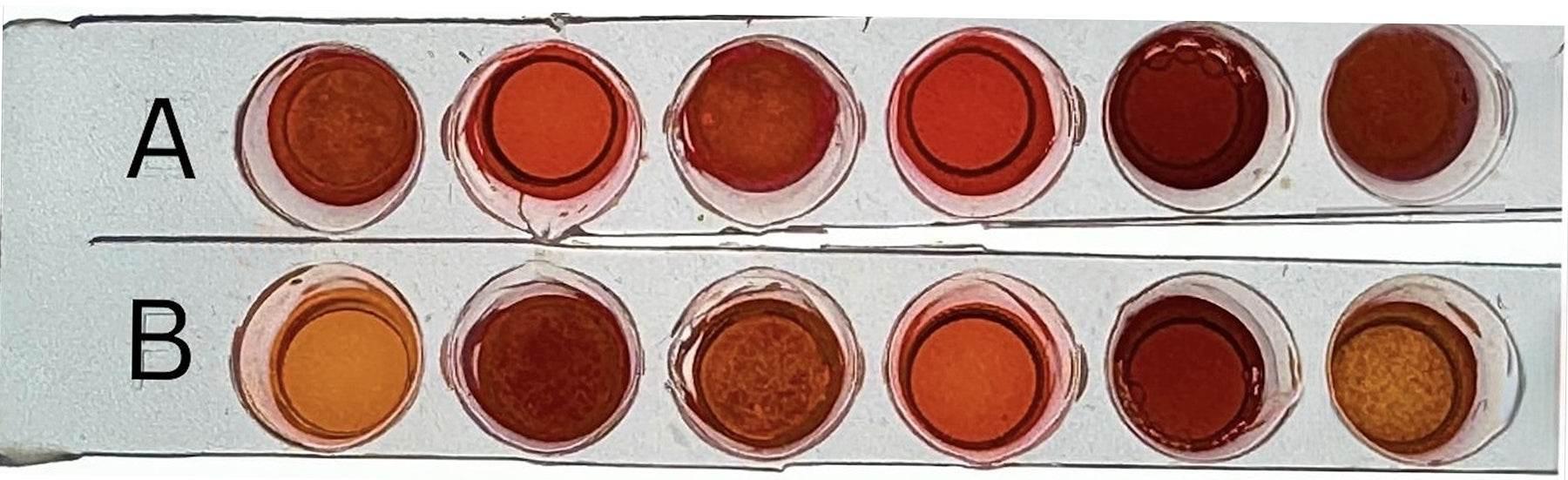 Forensic Escape Room: Design Your Own Biotech Adventure - Kormay Biomedicals store