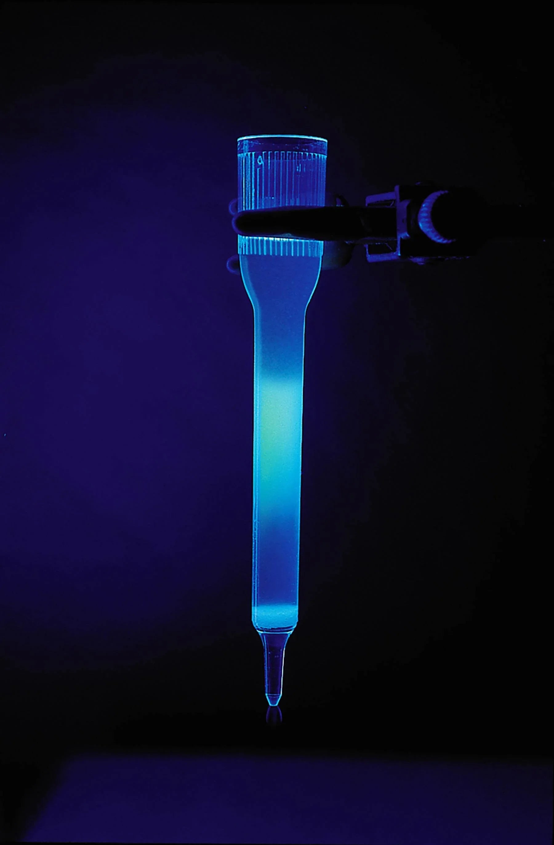 Purification & Size Determination of Green & Blue Fluorescent Proteins - Kormay Biomedicals store
