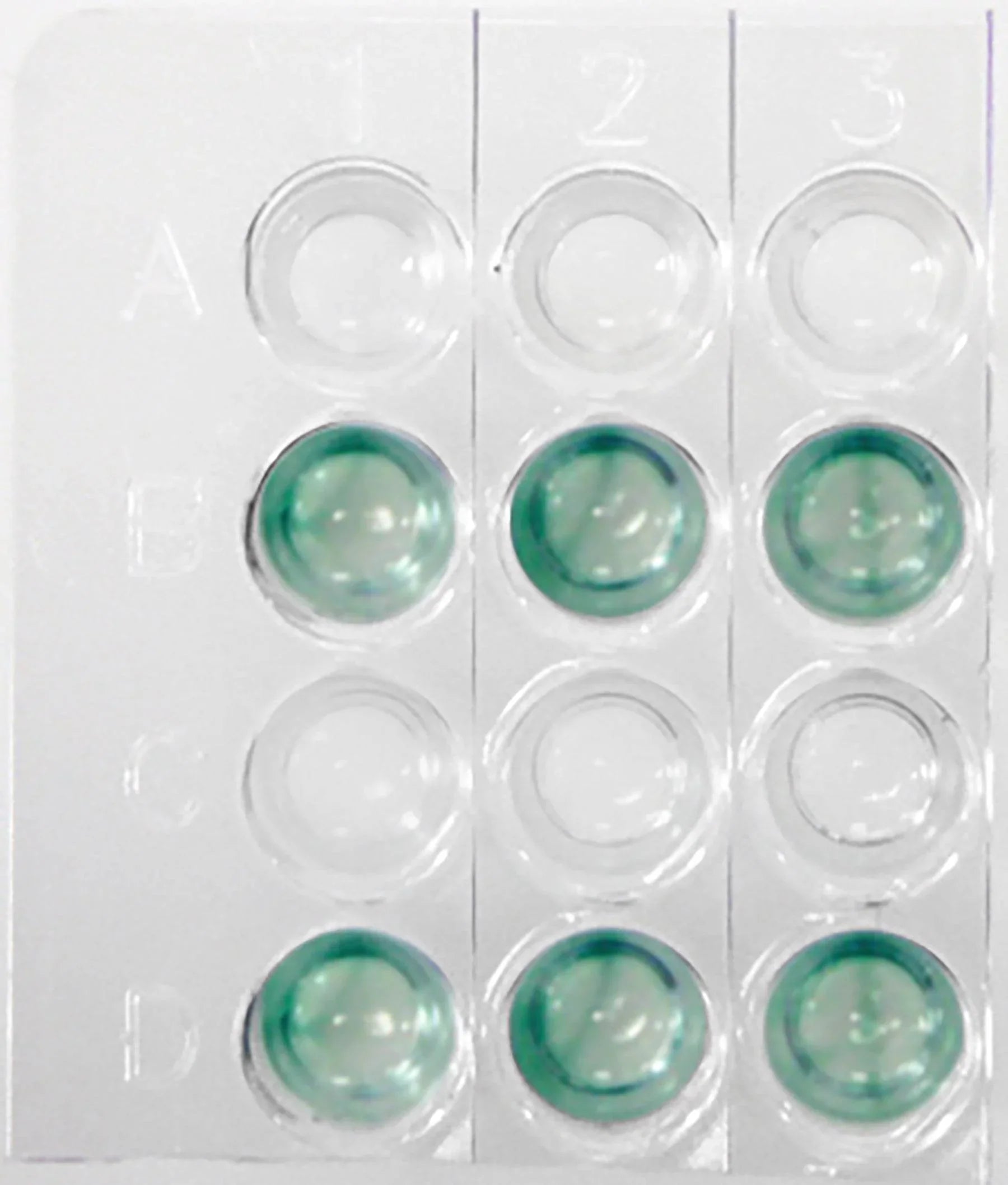 Investigating Human Health Using ELISA - Kormay Biomedicals store