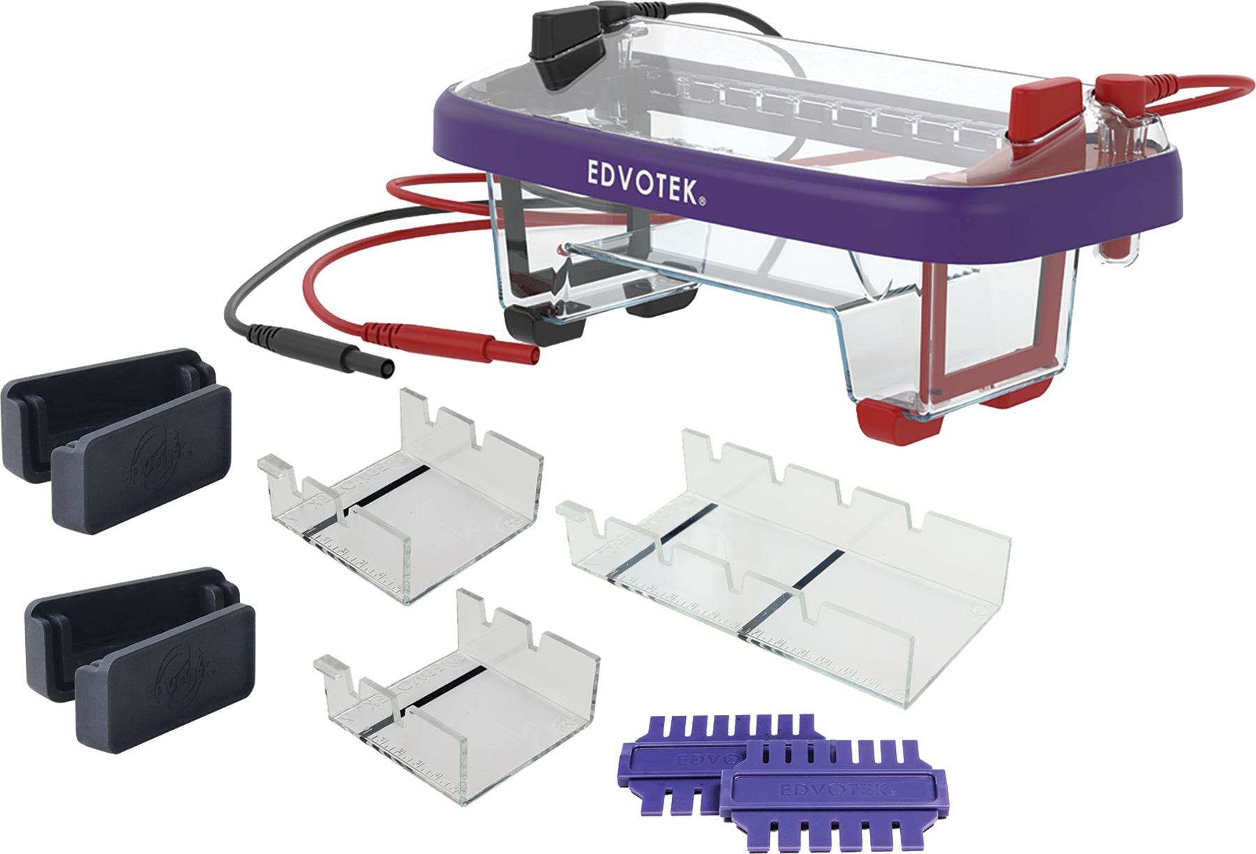 M12 Complete™ Electrophoresis Package - Kormay Biomedicals store