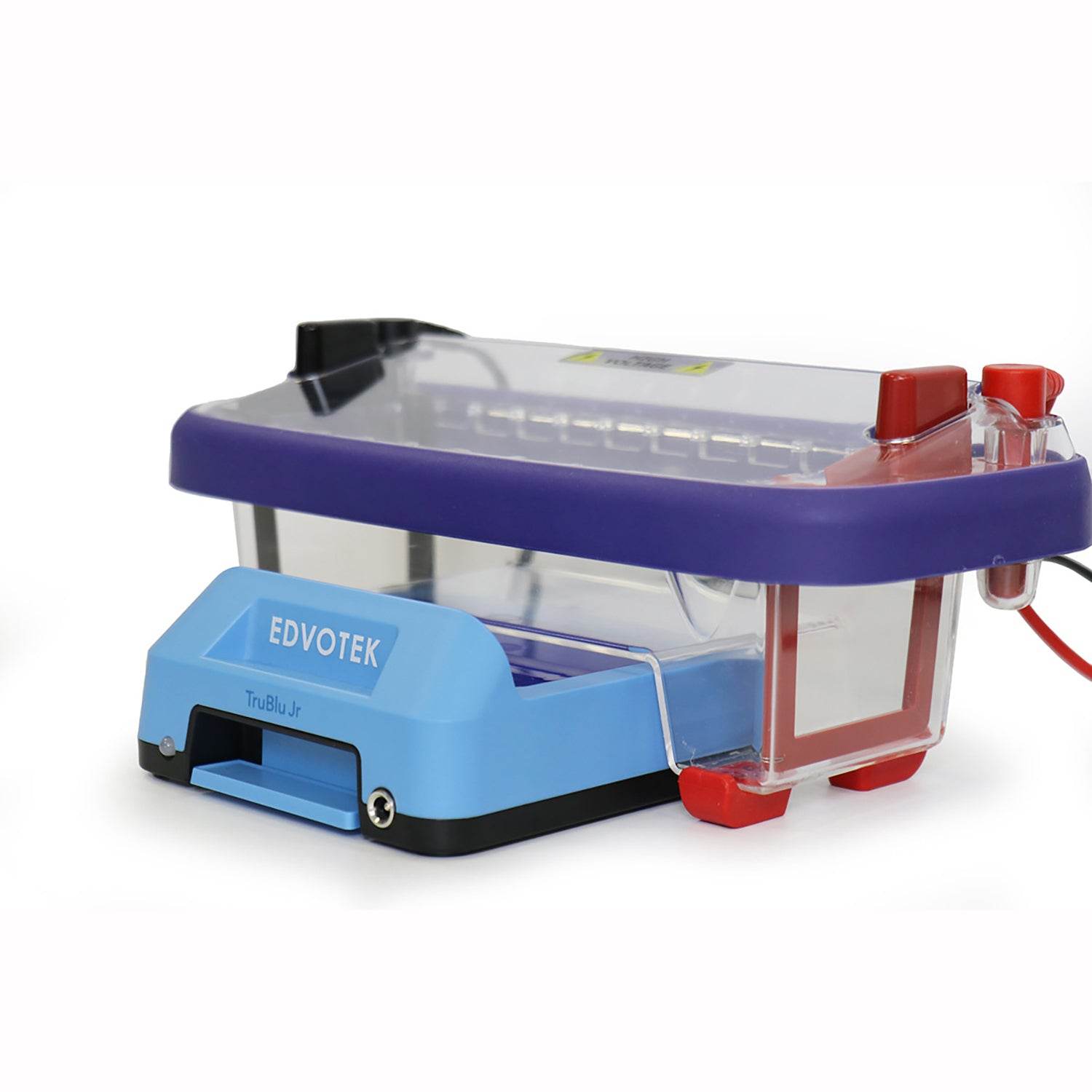 TruBlu™ Jr. Blue Light Transilluminator (10 x 6 cm) - Kormay Biomedicals store
