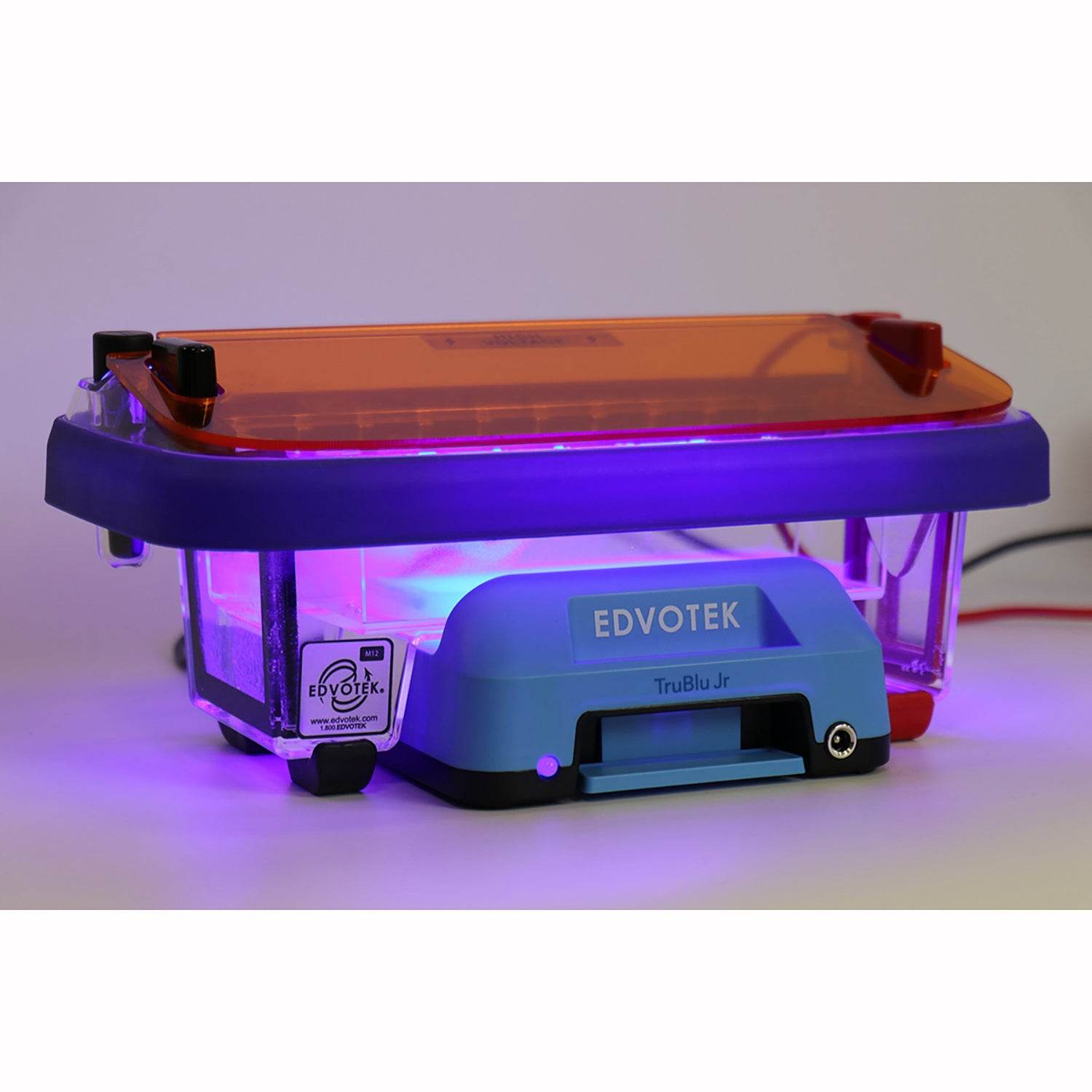 TruBlu™ Jr. Blue Light Transilluminator (10 x 6 cm) - Kormay Biomedicals store