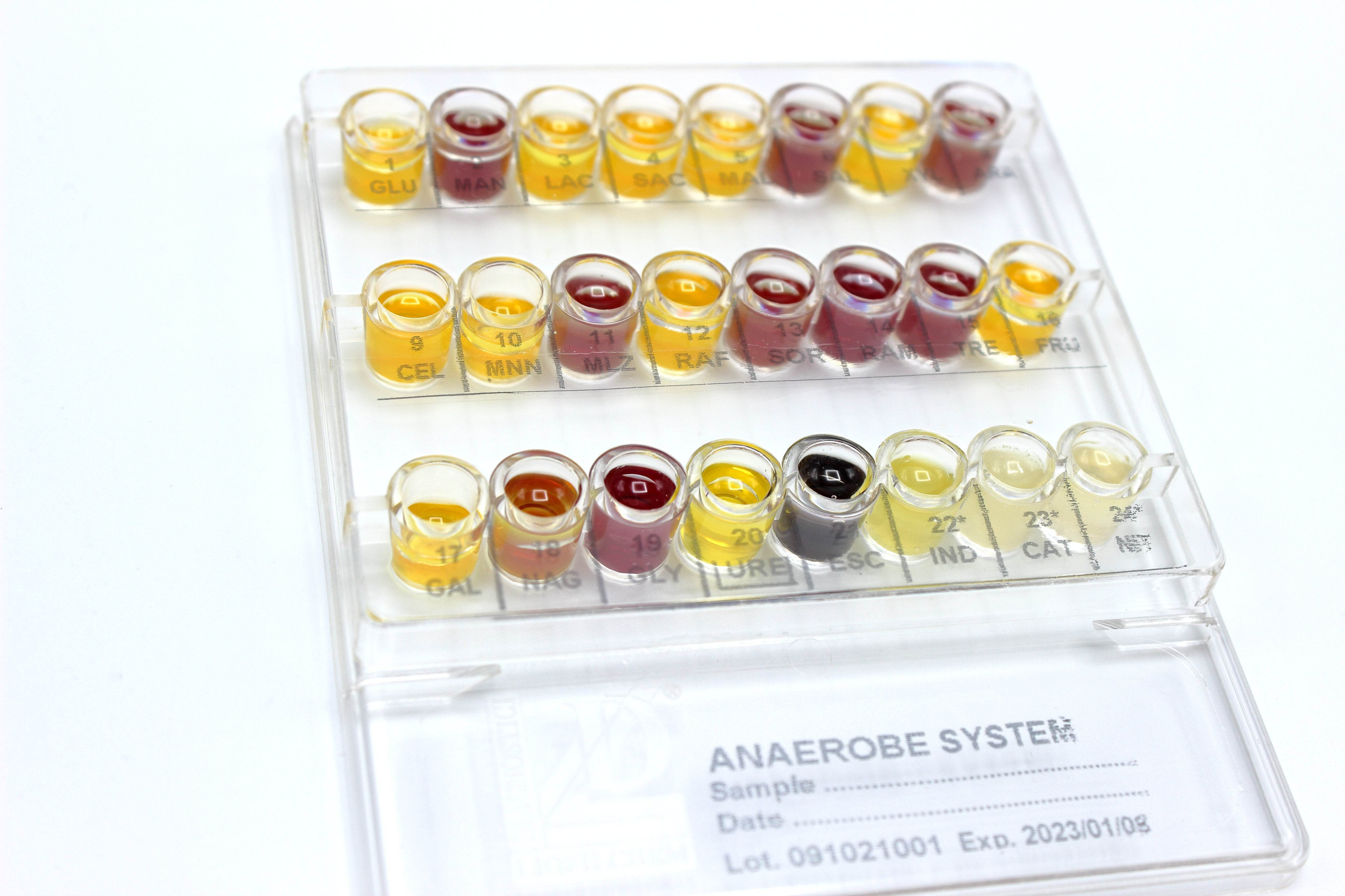 Anaerobe System - Kormay Biomedicals store