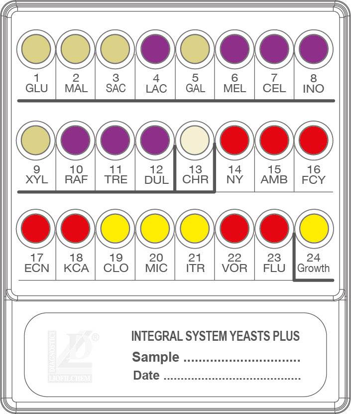 INTEGRAL SYSTEM Yeasts Plus - Kormay Biomedicals store